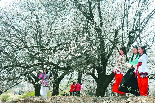 833直播体育 多终端高清直播